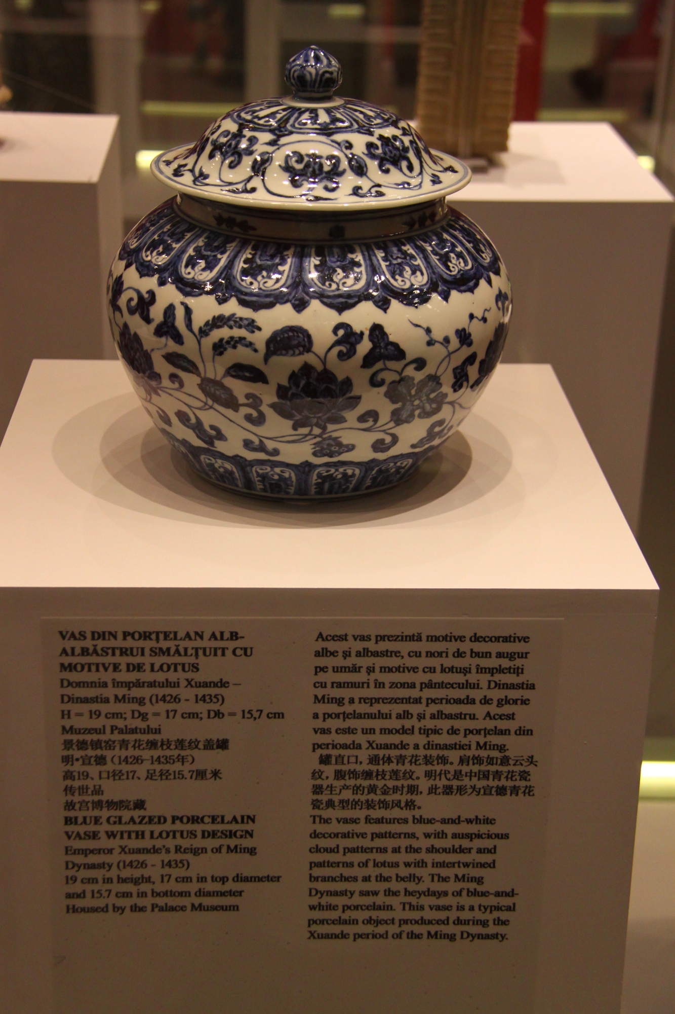 Blue Glazed Porcelain Vase from Ming Dynasty