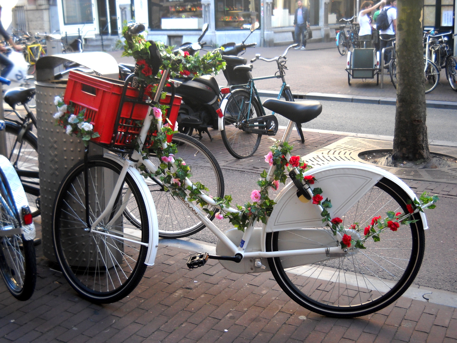 Beautiful Bicycles with flowers in Amsterdam