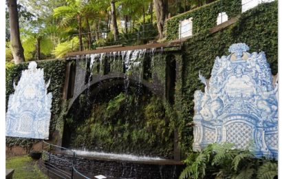 Your Funchal guide: discover what to do in Funchal, Madeira, Portugal
